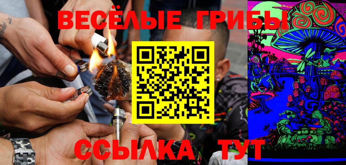 Псилоцибиновые грибы Cubensis Лыткарино
